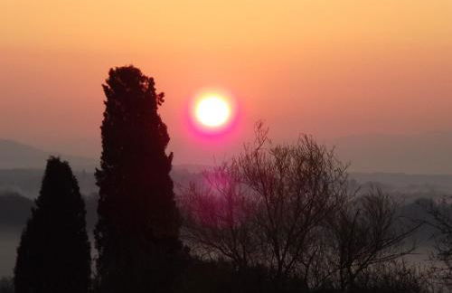 Tenuta i Lecci di Gurian Roberta Maura - Foto 91