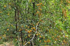 Rivière Retreat - Foto 12