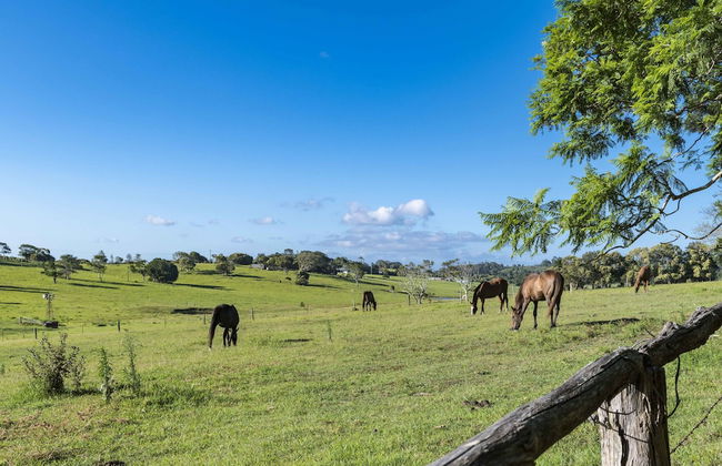 Rosewood Estate - Foto 21