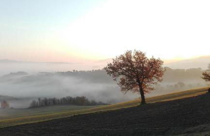 appartamento Colticciola Agriturismo Marche - Foto 35