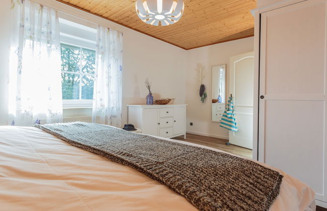 Schwalbe in der Heide - Foto 3