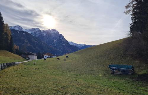 Biohof Untergröber - Foto 49