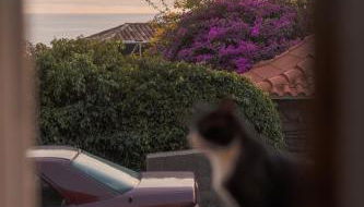 CASA DA PITANGA - Foto 5