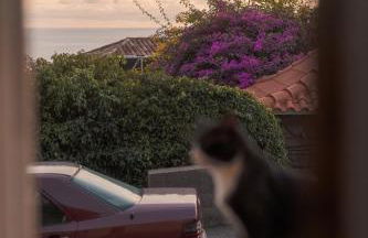 CASA DA PITANGA - Foto 5