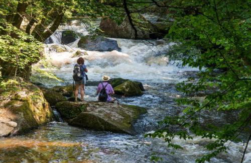 Maison Bourgogne - Foto 27