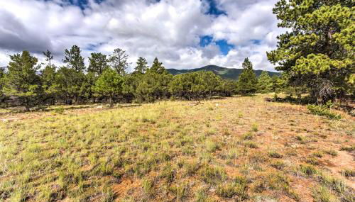 Cozy Buena Vista Apartment Less Than 4 Mi to Main Street! - Foto 2