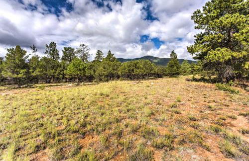 Cozy Buena Vista Apartment Less Than 4 Mi to Main Street! - Foto 2