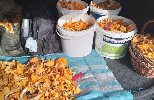 Gospodarstwo agroturystyczne - Foto 64