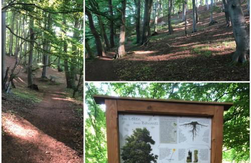 Noorden Stuuv - Foto 23