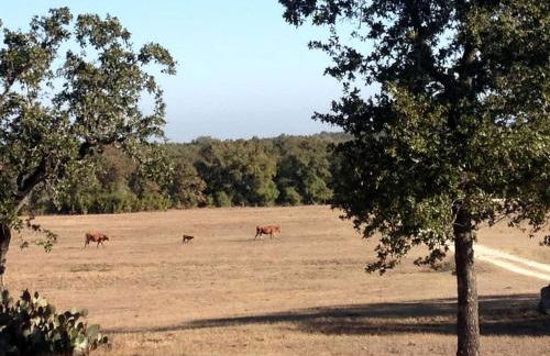 Secluded Group Cabin on Fun Ranch near Gonzales, Texas - Foto 13