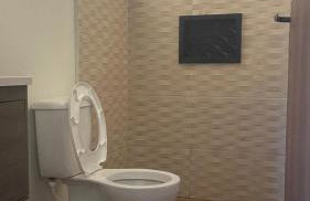 Chácara Recanto da Paz - Photo 52