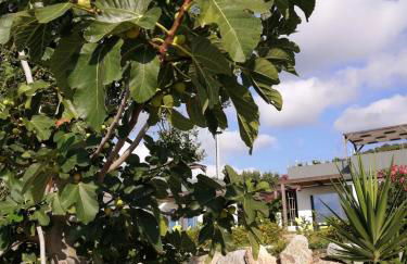 Alle Preziose Dimore - Foto 62