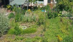 Ferienwohnung Wendel - Foto 5, Garden