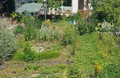 Ferienwohnung Wendel - Foto 5