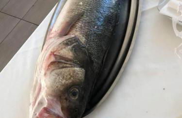 SUITE GARDEN-MARINA SVEVA - Foto 45