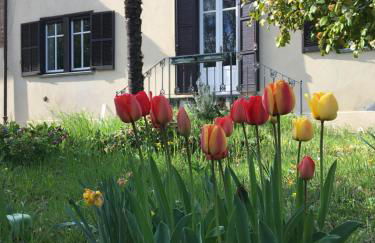 Villa Bacchus - Foto 11