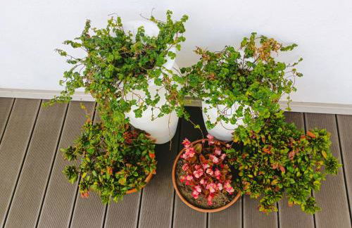 Quinta da Casa Matilde - NATURE HOUSE - Foto 9