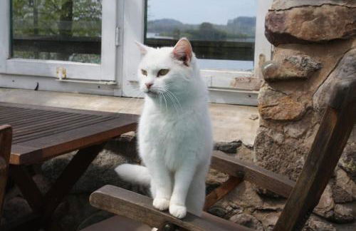Ferienwohnung mit großem Garten und Blick zum See - Photo 12