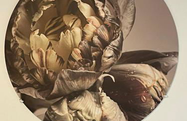 Panoramaapartment Wine & Castle - Foto 39