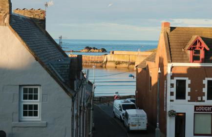 The Old Legion - Photo 5