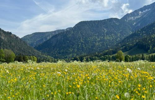 Garten Chalet - Foto 45