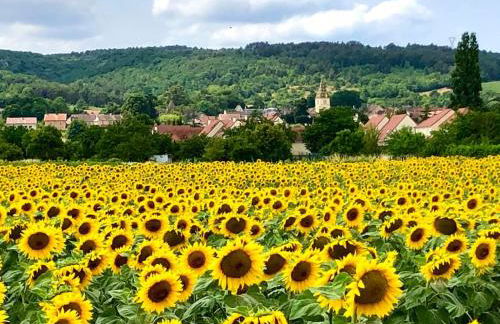 Maison avec cour L'atelier - Foto 14