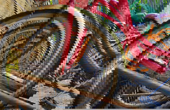 Casa Tulum - Photo 35