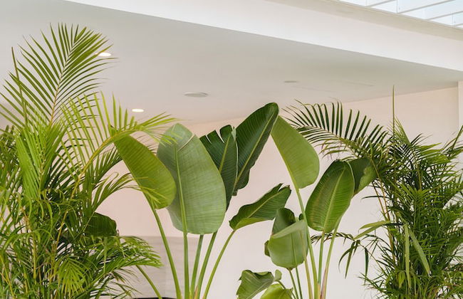 Grand Horizon Luxury Boutique Apartments - Photo 36