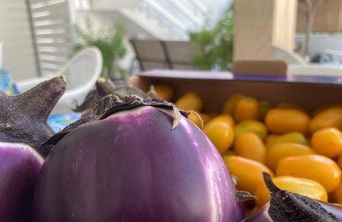 Talia open space di Sulemmari - Foto 19