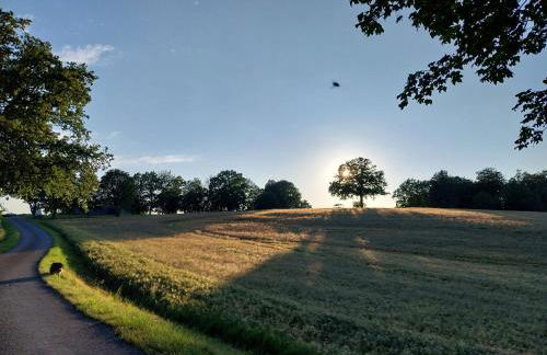 Ferienwohnung - Landhotel Waldschlößchen - Foto 25