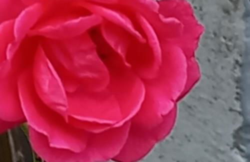 Residenza verdeazzurra - Foto 7