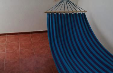 Ocean Sunshine - Foto 64