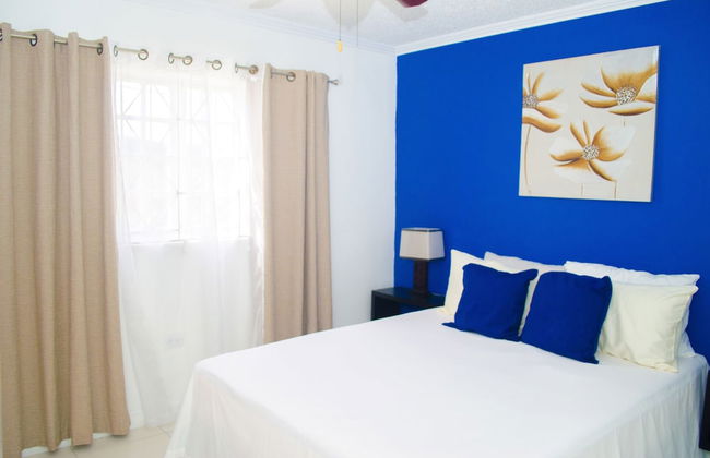 Centrally located Oakland Guest Apartment II - Photo 6