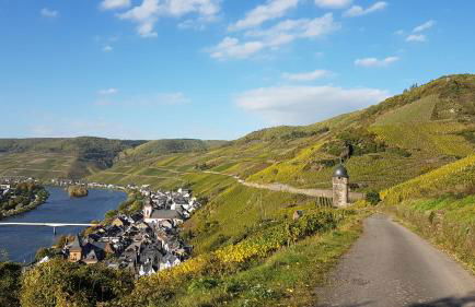 Ferienwohnung Roter Riesling - Foto 13