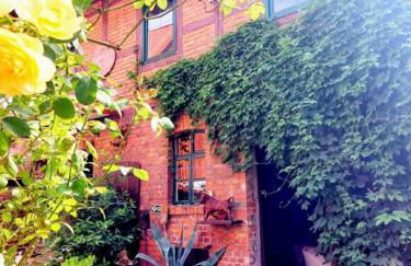 TheBackyard - Foto 1