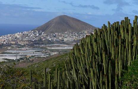 Casa Avenida del Agujero - Photo 42