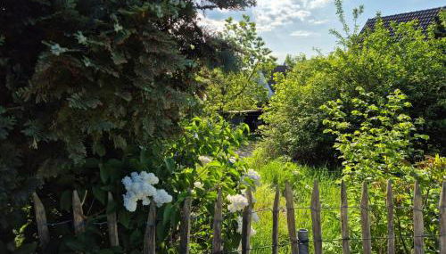 Naturnahes Wohnen in einem alten Haus mit Garten - Foto 5
