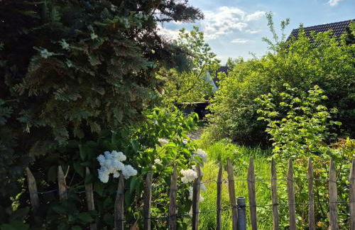 Naturnahes Wohnen in einem alten Haus mit Garten - Foto 5