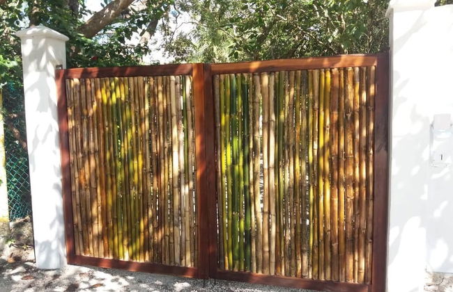 Mini Pini Birdwatching and Cenote Loft4 you Only - Foto 43