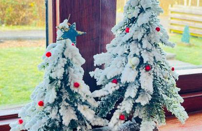 River house - Foto 17