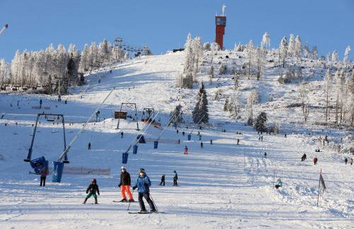 HIRSCH Hänsel Ferienhaus Garten mit Bergblick - Grill -Wald - Foto 50