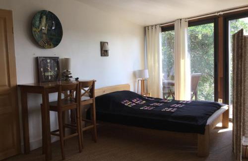 Independent studio st Clement of rivers 5 mn montpellier - Foto 13