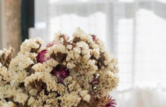 Quinta da Comenda - Foto 78