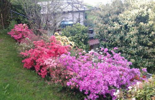 Casa Vacanze Le Violette - Foto 1