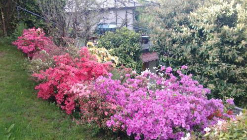 Casa Vacanze Le Violette - Foto 1