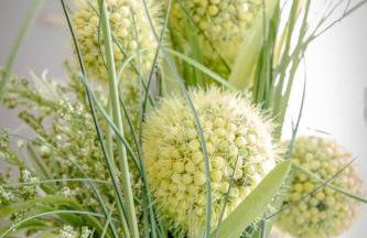 Beautiful Bungalow Historic Franklin Quadplex - Foto 11