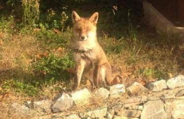 Casa vacanza zia Ersilia - Foto 40