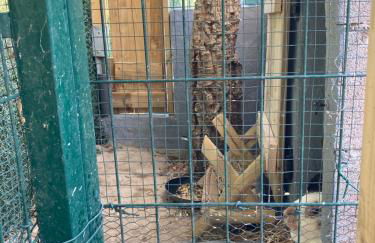 Mini-villa 1 MER - Foto 49