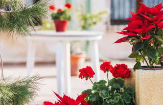 Villa en Lorca Piscina Vistas Terraza y Barbacoa-Venta Ruizo - Foto 28