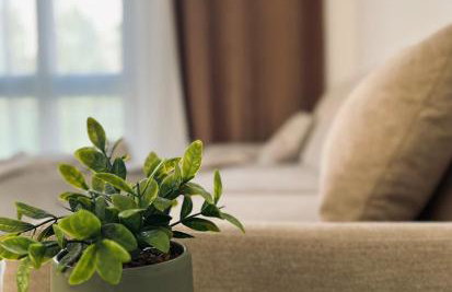 Bright & Sunny two bedroom apartment - Foto 19